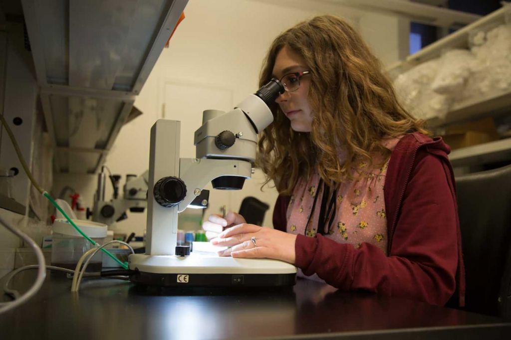 Our Lab | Denise Montell Lab | Molecular, Cellular, And Developmental ...