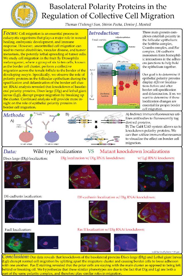 Congratulations To Thomas Sun On His Poster Presentation Denise Montell Lab Molecular 9504