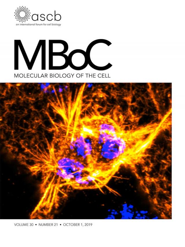 MBoC cover image