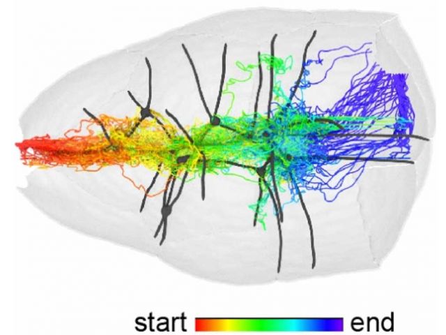 Denise gives a seminar