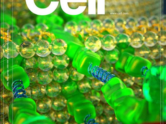 We got the cover of Cell!