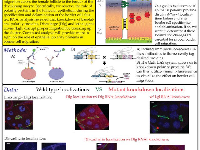 Congratulations to Thomas Sun