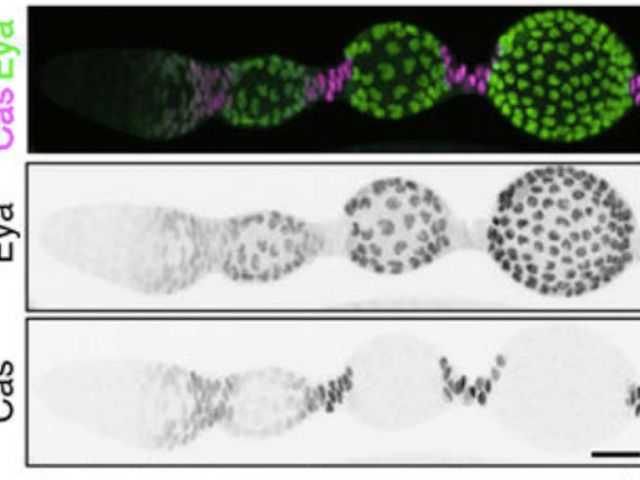 Congrats to Wei Dai and her team