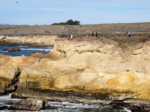 Lab hike at Montana de Oro