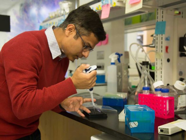 Abhinava setting up experiments at the bench