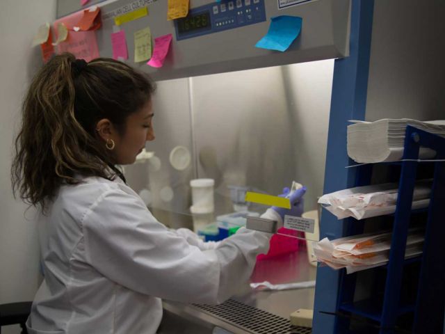 Mel working in the cell culture room