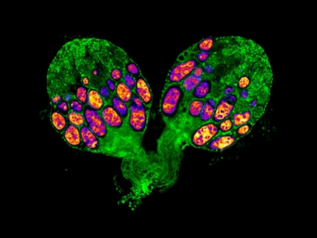 Image by Sreesankar Easwaran