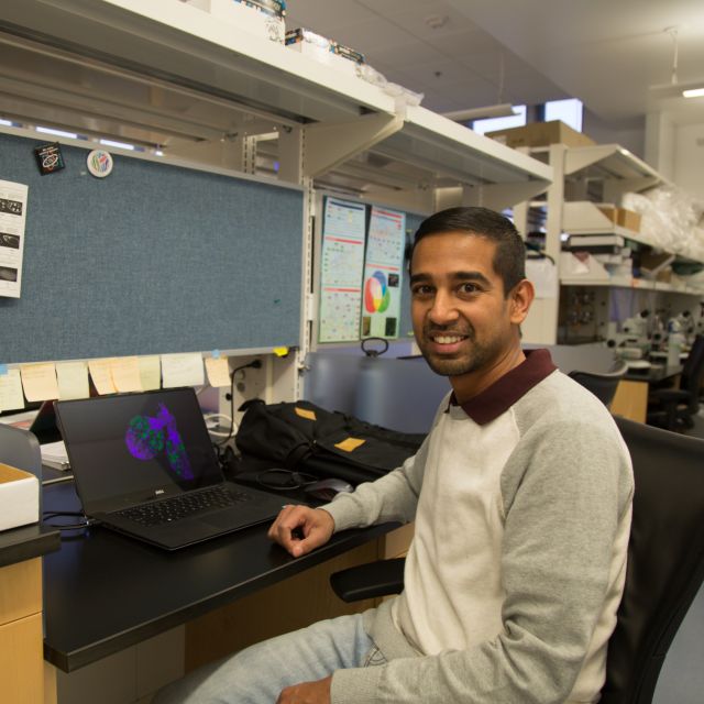 Photo of Sreesankar (Sree) Easwaran