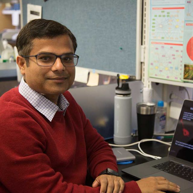 Photo of Abhinava Mishra