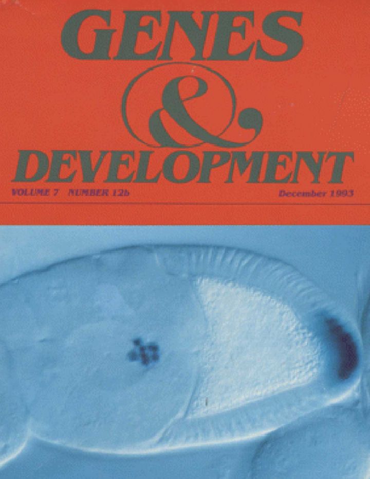 1993 Genes and Development Journal Cover