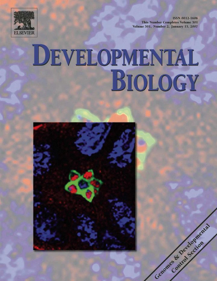 2007 Developmental Biology Journal Cover