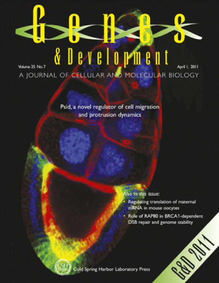 2011 Genes and Development Journal Cover