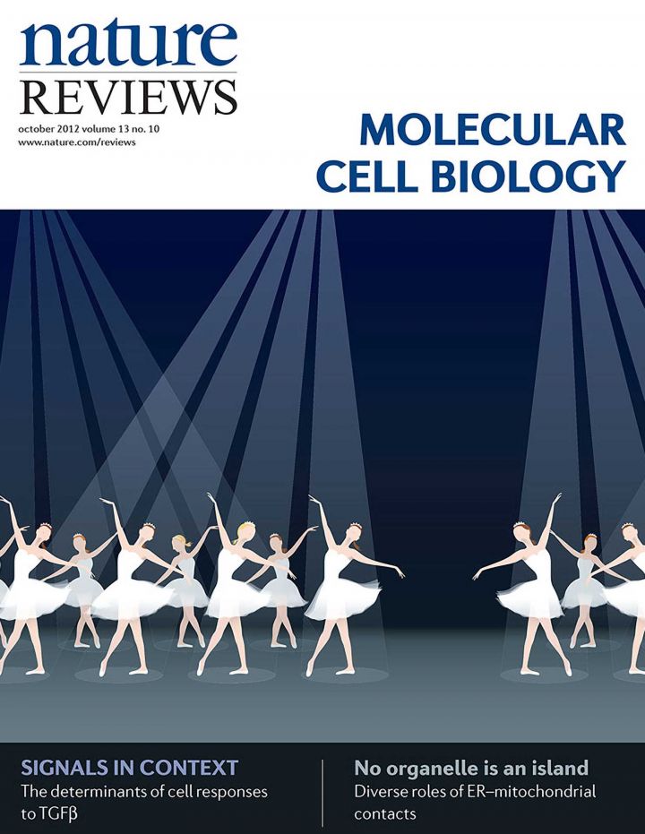 2012 Nature Reviews Molecular Cell Biology Journal Cover