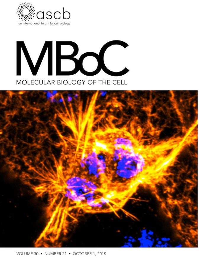 2019 Molecular Biology of the Cell Journal Cover